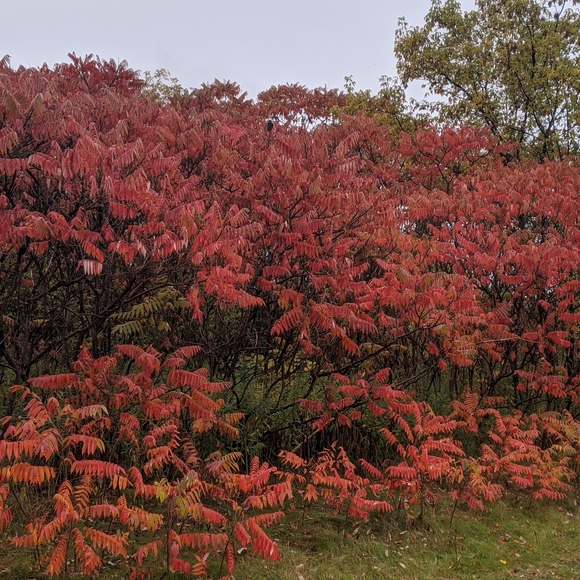 Meet your Posher, Nadia - Picture 2 of 5